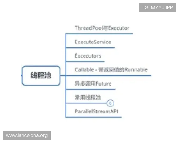 掌握k8体育官网会员登录流程,轻松应对登录过程中遇到的各种问题
