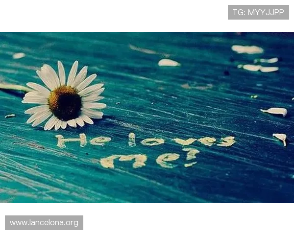 k8凯发中国官方网站最新登录入口及安全保障指南,确保玩家账号安全稳定体验