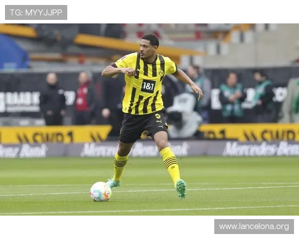 凯发体育平台最新官方入口全面解析助你轻松畅享体育赛事体验 凯发体育平台最新官方入口全面解析助你轻松畅享体育赛事体验